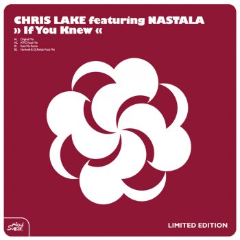 Chris Lake feat. Nastala If You Knew (Instrumental Mix)