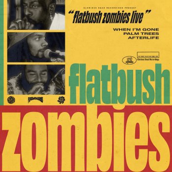 Flatbush Zombies when i'm gone - LIVE