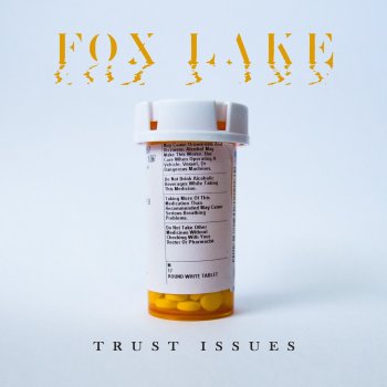 Fox Lake Trust Issues