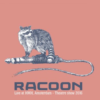Racoon Shoes of Lightning (Live)
