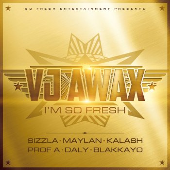 VJ Awax feat. Sizzla, Kalash, Daly, Maylan, Prof A & Blakkayo I'm So Fresh - Next Level