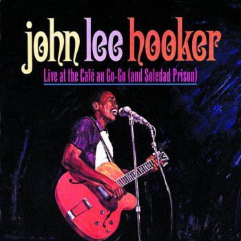 John Lee Hooker When My First Wife Left Me (Live)