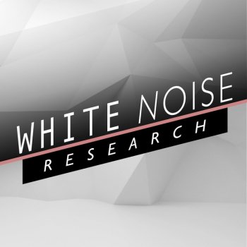 White Noise Research White Noise: White Noise
