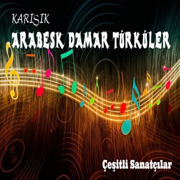 Sibel Yıldırım feat. İbrahim Erkal İnsafsız / Bir Sana Yandım Ben (Şiir)