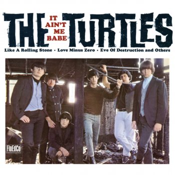 The Turtles Last Laugh (Mono) (Remastered)