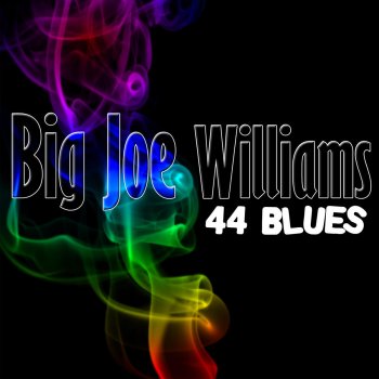 Big Joe Williams Everybody's Blues