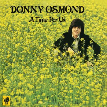 Donny Osmond A Million To One