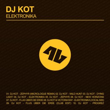 DJ KoT Flug über die Erde (Club Edit)