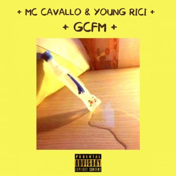 Mc Cavallo GCFM