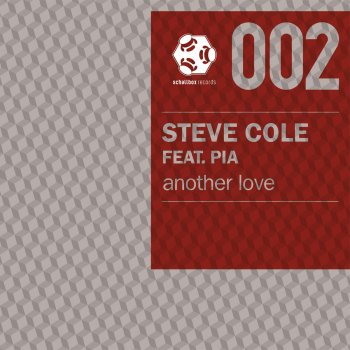 Steve Cole feat. Pia & Florian Meindl Another Love - Florian Meindl Remix