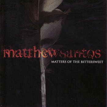 Matthew Santos Uncertainties
