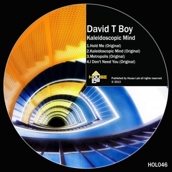 David T Boy I Don't Need You - Original Mix