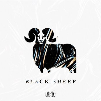 Nelson Black Sheep