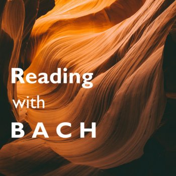 Johann Sebastian Bach feat. The English Concert & Trevor Pinnock Concerto For Harpsichord, Strings, And Continuo No.5 In F Minor, BWV 1056: 2. Largo