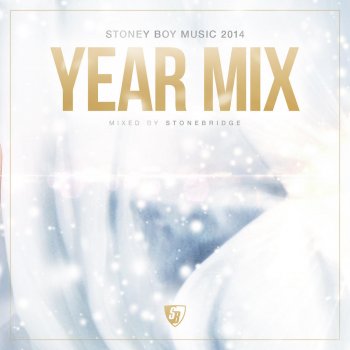 StoneBridge Stoney Boy Music 2014 Year Mix (Mixed by StoneBridge)