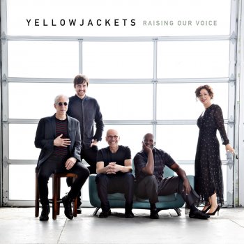 Yellowjackets In Search Of