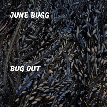 June Bugg Im Bout to Bug Out