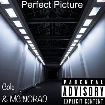 COLE Perfect Picture - Instrumental Version