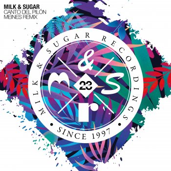 Milk & Sugar feat. Meines Canto del Pilón - Meines Remix