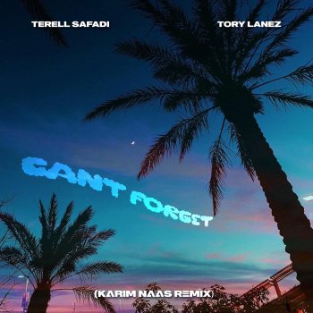 Terell Safadi Can't Forget (Karim Naas Remix) [feat. Tory Lanez]