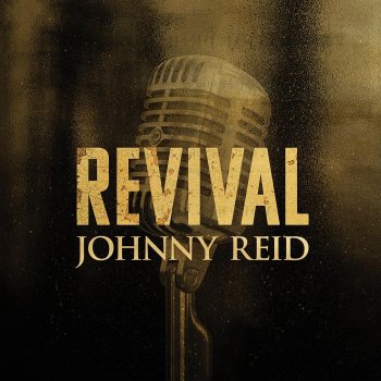 Johnny Reid The Light in You