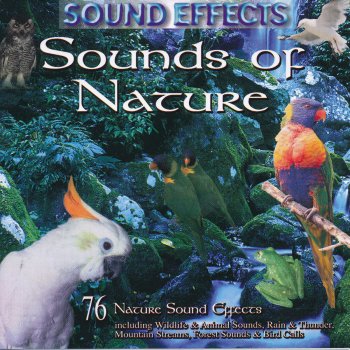 Sound Effects Waterfall 1