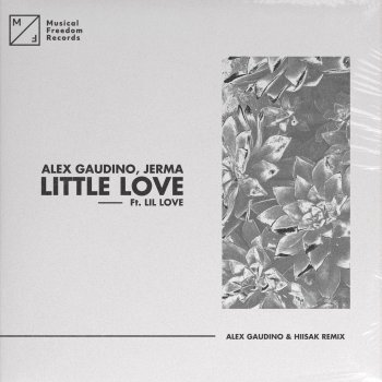 Alex Gaudino Little Love (feat. Lil' Love) [Alex Gaudino & Hiisak Remix]