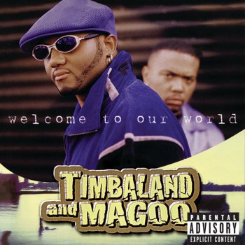 Timbaland feat. Magoo Deep in Your Memory