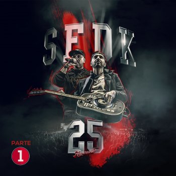 SFDK feat. Fyahbwoy Sevilla Parte 2 Acapella / Todo Lo Que Importa (Directo) (feat. Fyahbwoy)