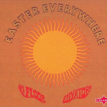 13th Floor Elevators I Had to Tell You