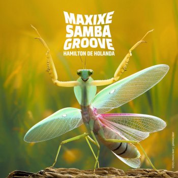 Hamilton de Holanda Maxixe Samba Groove