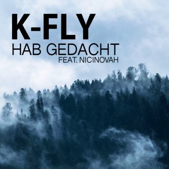 K-Fly feat. Nicinovah Hab gedacht