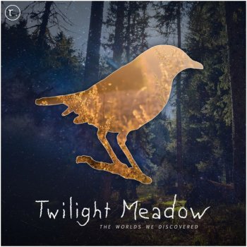 Twilight Meadow The Worlds We Discovered - Original Mix