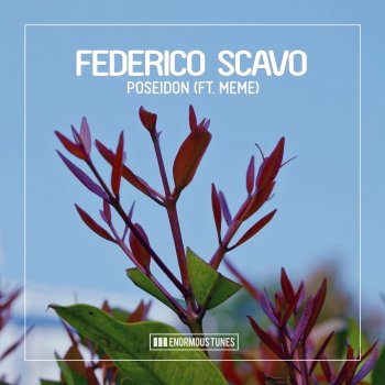 Federico Scavo feat. meme Poseidon