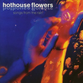 Hothouse Flowers Isn't It Amazing