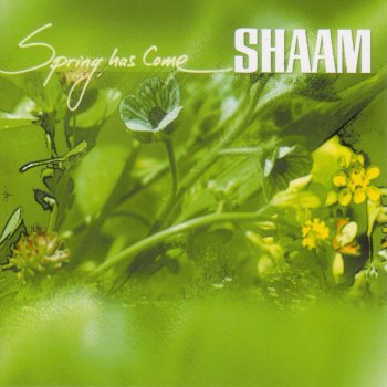 SHAAM Signs
