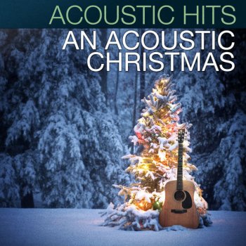 Acoustic Hits Joy to the World