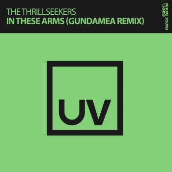 The Thrillseekers In These Arms (Gundamea Extended Remix)