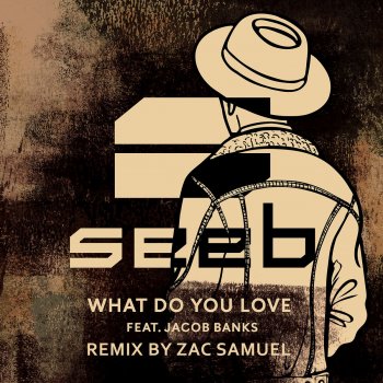 Seeb feat. Jacob Banks What Do You Love (Zac Samuel Remix)