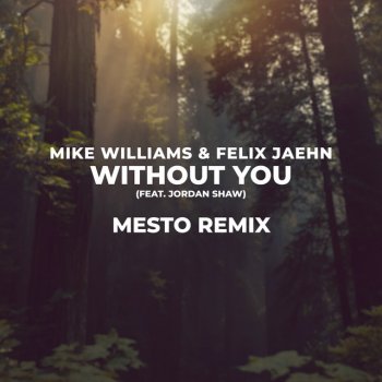 Mike Williams feat. Felix Jaehn, Jordan Shaw & Mesto Without You - Mesto Remix