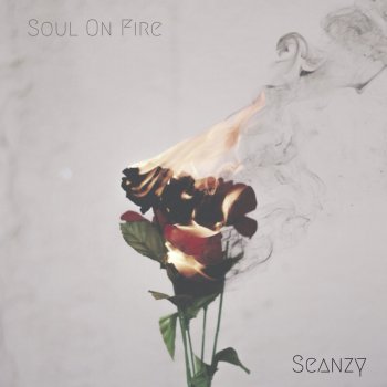 Seanzy Soul on Fire
