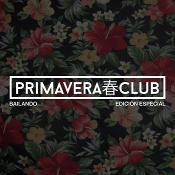Primavera Club Corazón Abierto