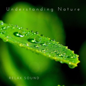 Relax Sound Understanding Nature