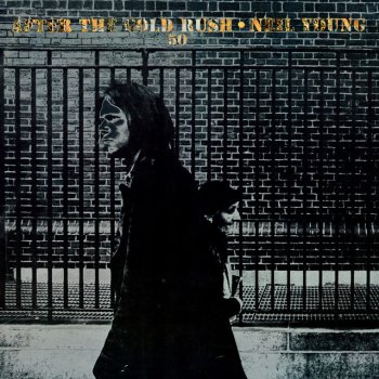 Neil Young Don't Let It Bring You Down