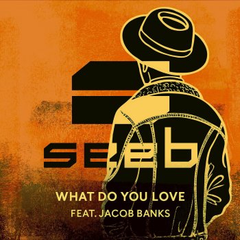 Seeb feat. Jacob Banks What Do You Love