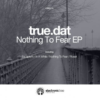 true.dat Nothing to Fear - Original Mix