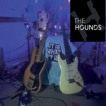 The Hounds In the News
