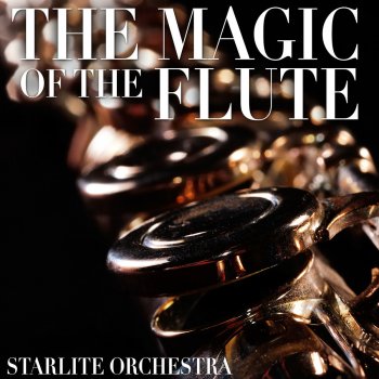 The Starlite Orchestra The Color of the Night