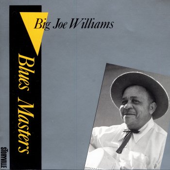 Big Joe Williams Wild Ox Moan