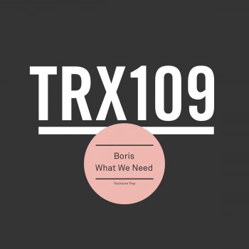 DJ Boris What We Need - Extended Mix